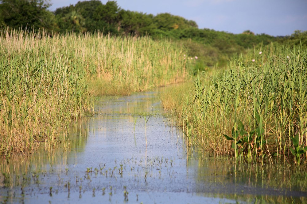 St. John's River, Florida.