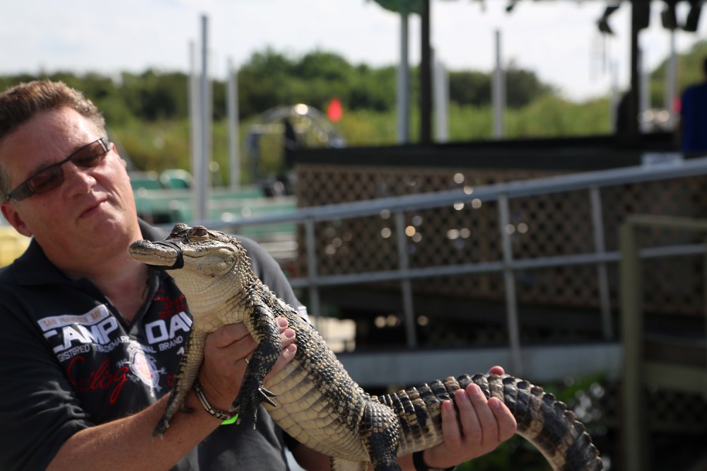 Heinrich Wullhorst und der Alligator.